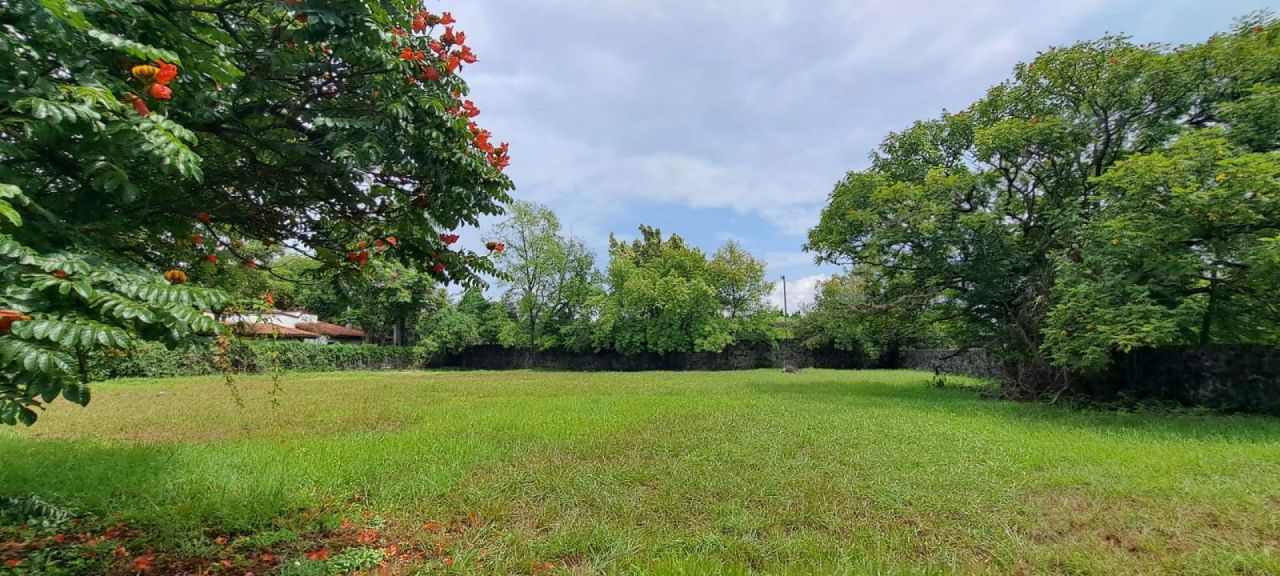 Terrenos en Los Apantles