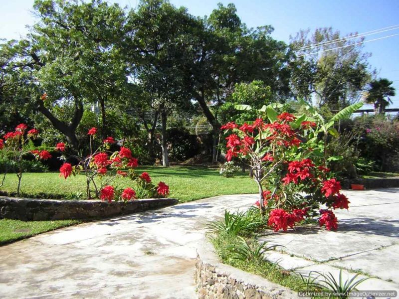 Terrenos Comerciales en Tétela del Monte