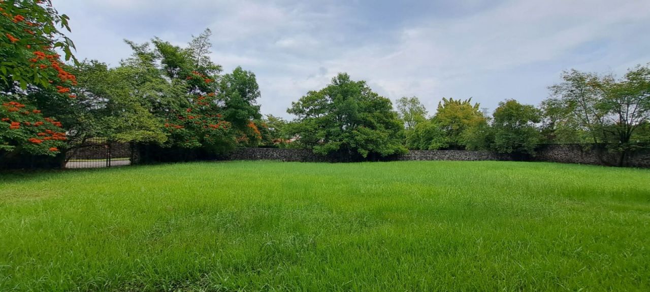 Terrenos en Los Apantles