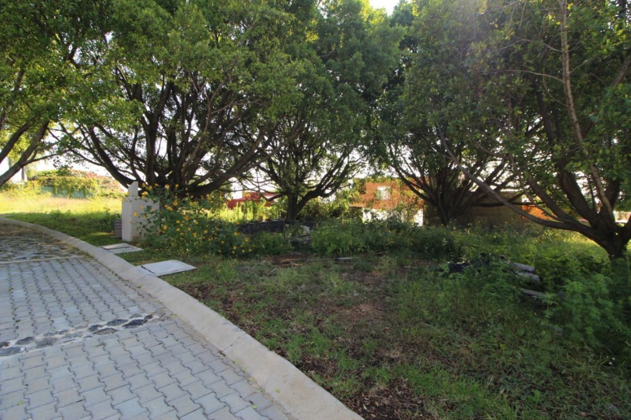 Terrenos en Lomas de Tetela