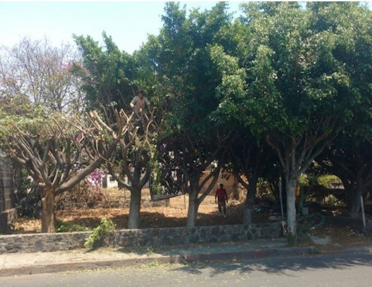 Terrenos Comerciales en San Cristóbal