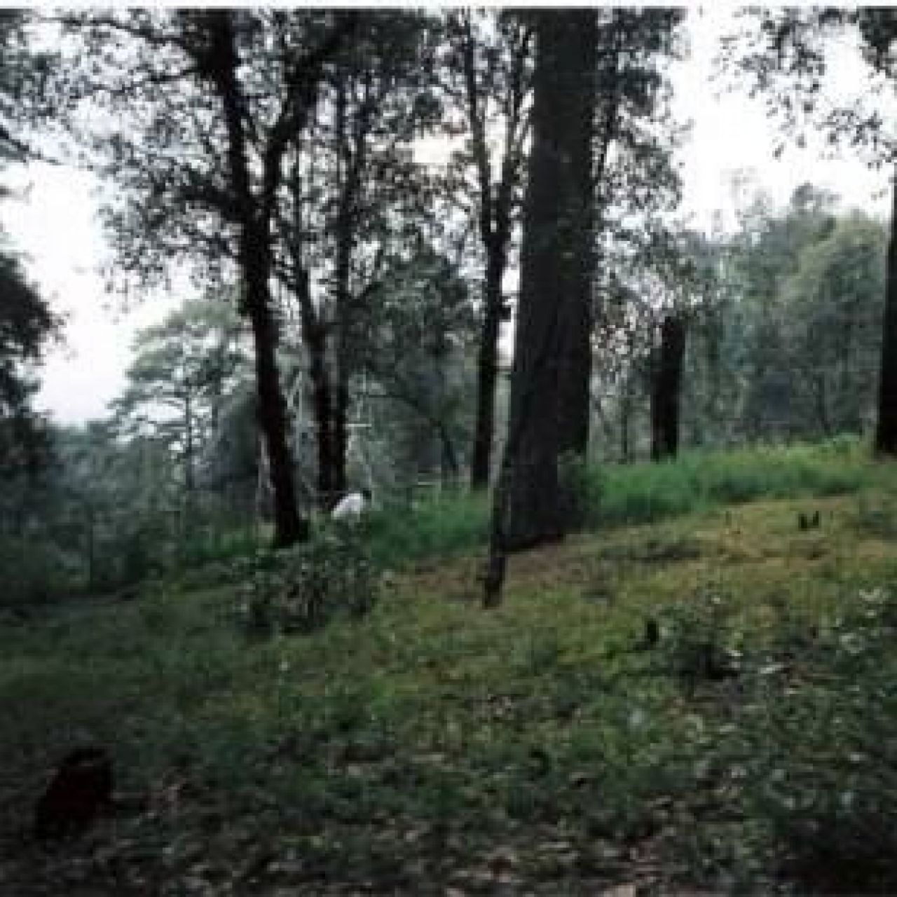 Terrenos en Huitzilac